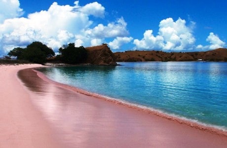 Indahnya Pantai Berpasir Pink Di Pulau Lombok