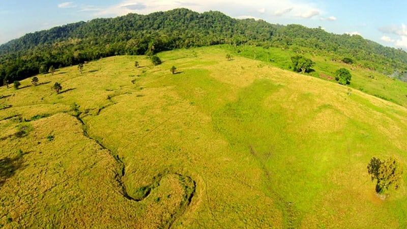 Padang Savana di Taman Nasional Alas Purwo