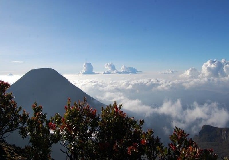 Keindahan diatas awan Gunung Gede Pangrango