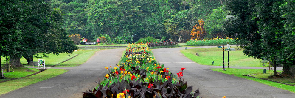 Lingkungan di Kebun Raya Bogor